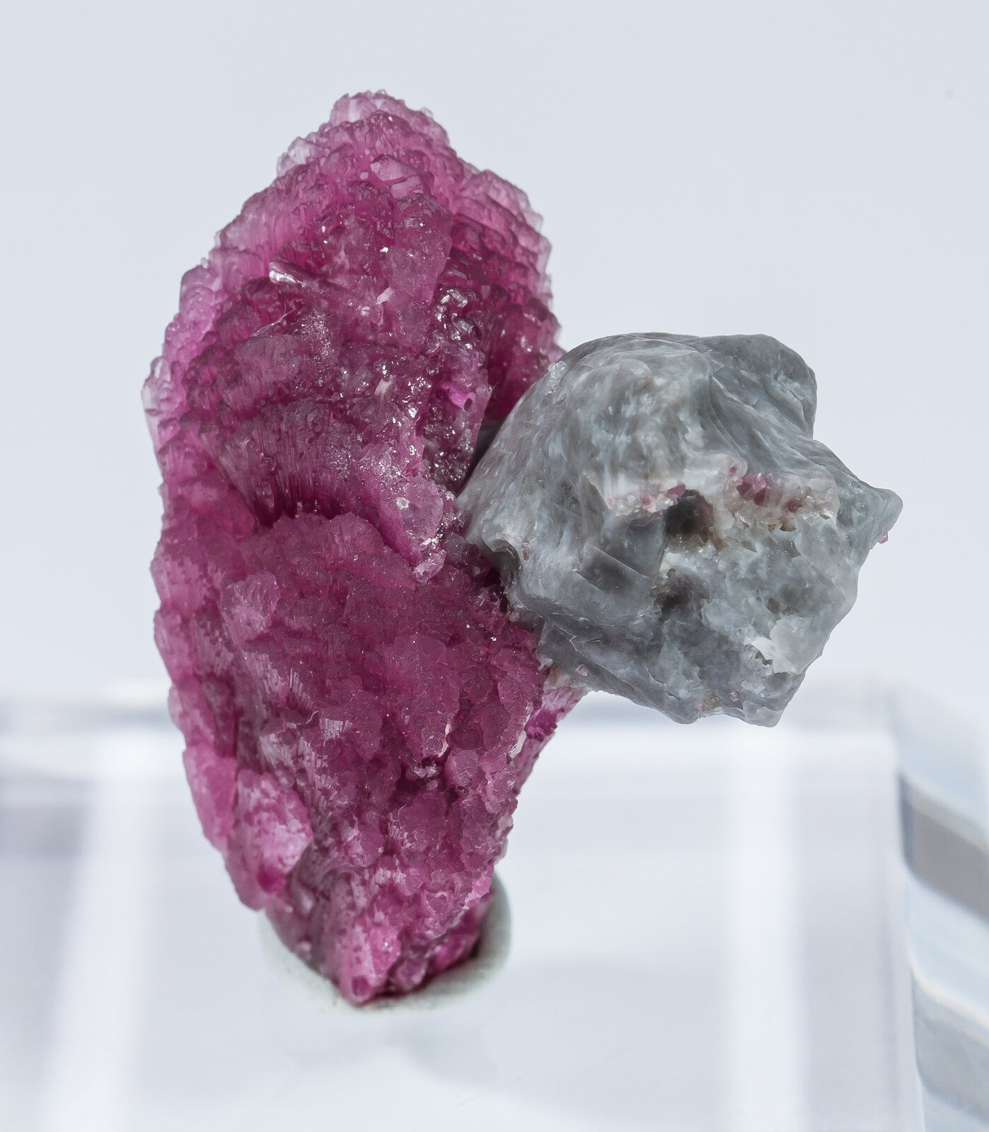 specimens/s_imagesAN2/Elbaite-TR97AN2r.jpg