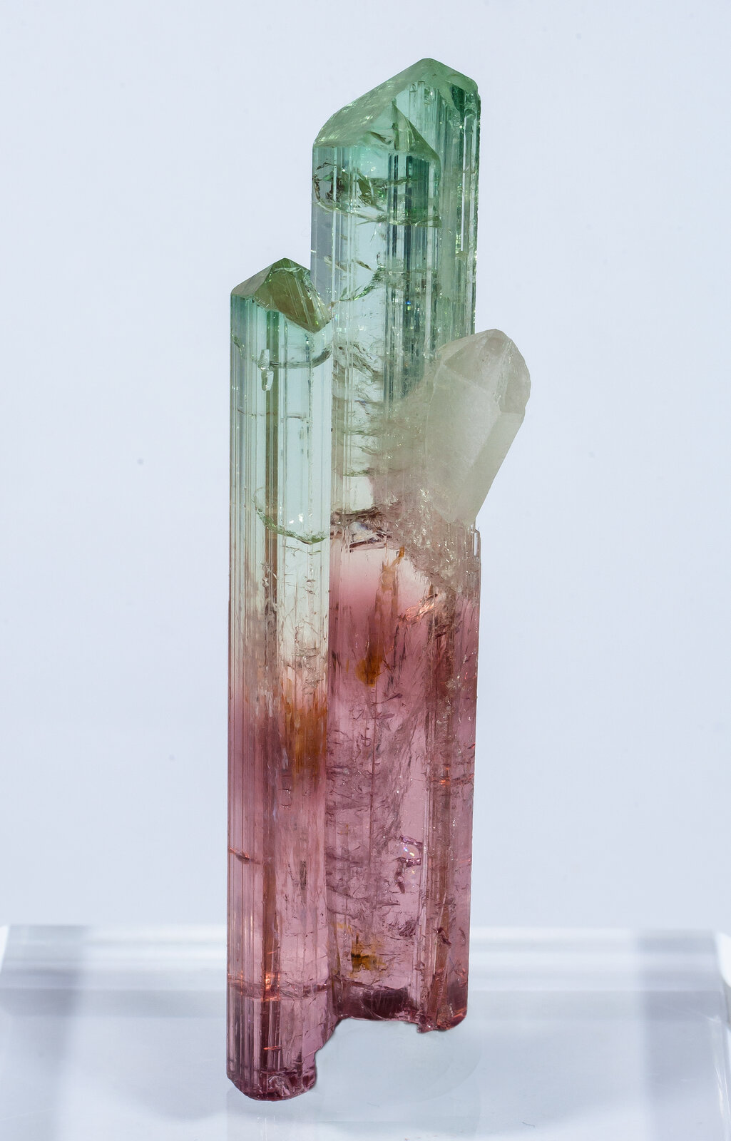 specimens/s_imagesAN2/Elbaite-TVA96AN2f.jpg