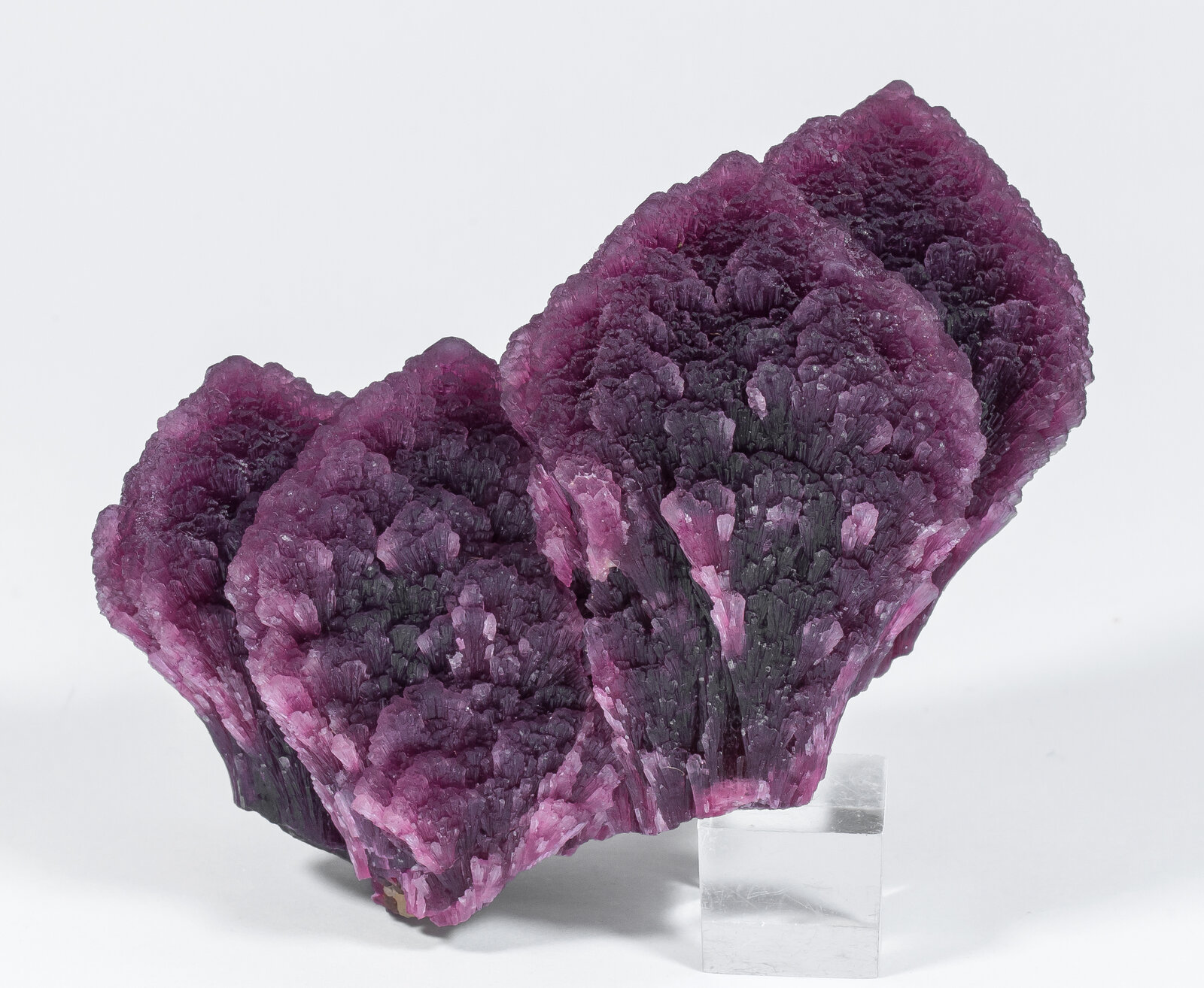 specimens/s_imagesAN2/Elbaite-TW27AN2f.jpg