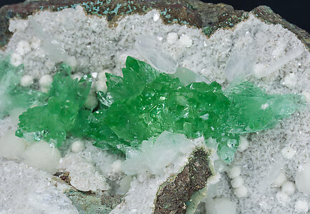 Fluorapophyllite-(K) with Stilbite-Ca and Heulandite-Ca. 