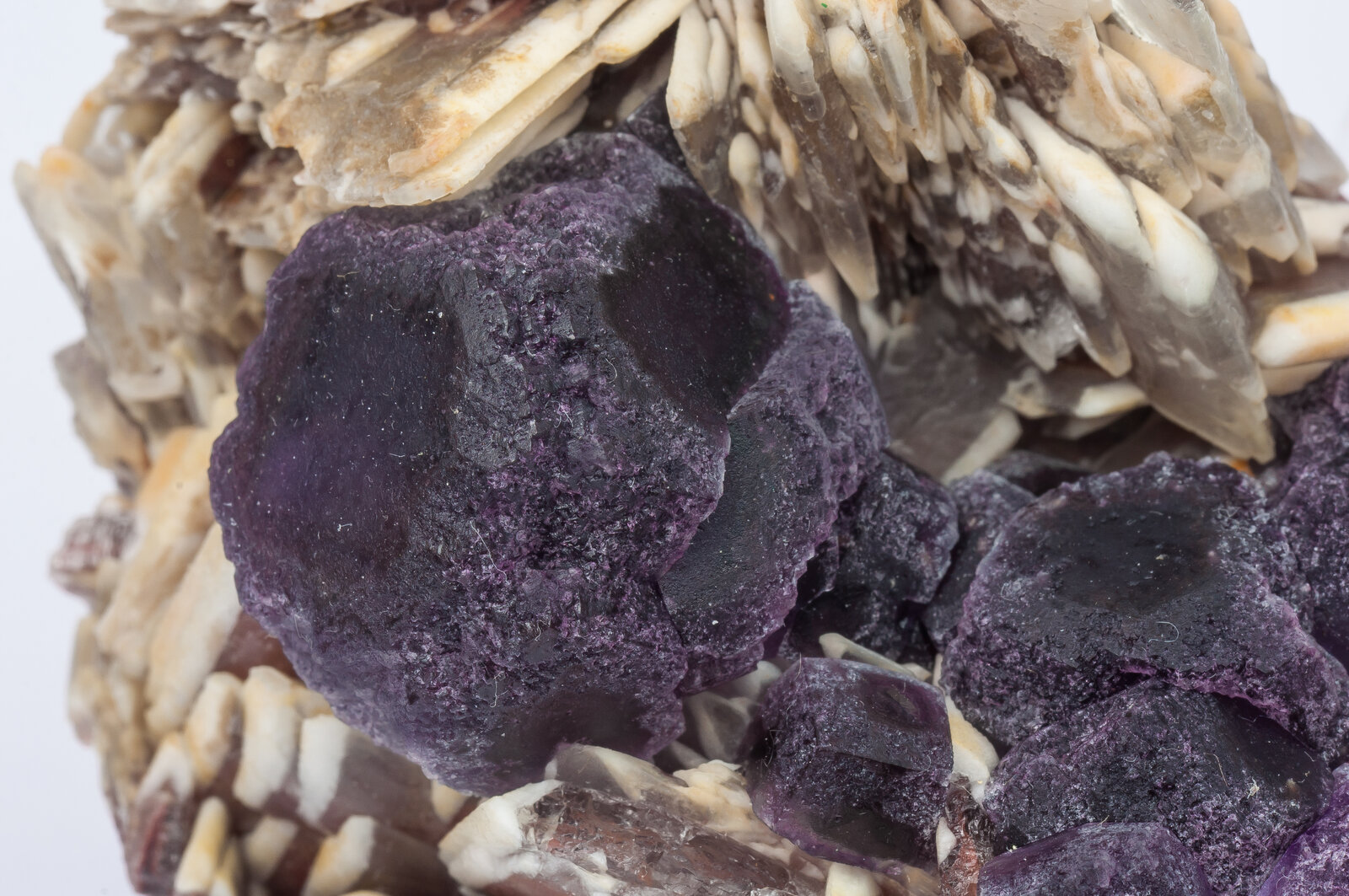 specimens/s_imagesAN2/Fluorite-TM49AN2d.jpg