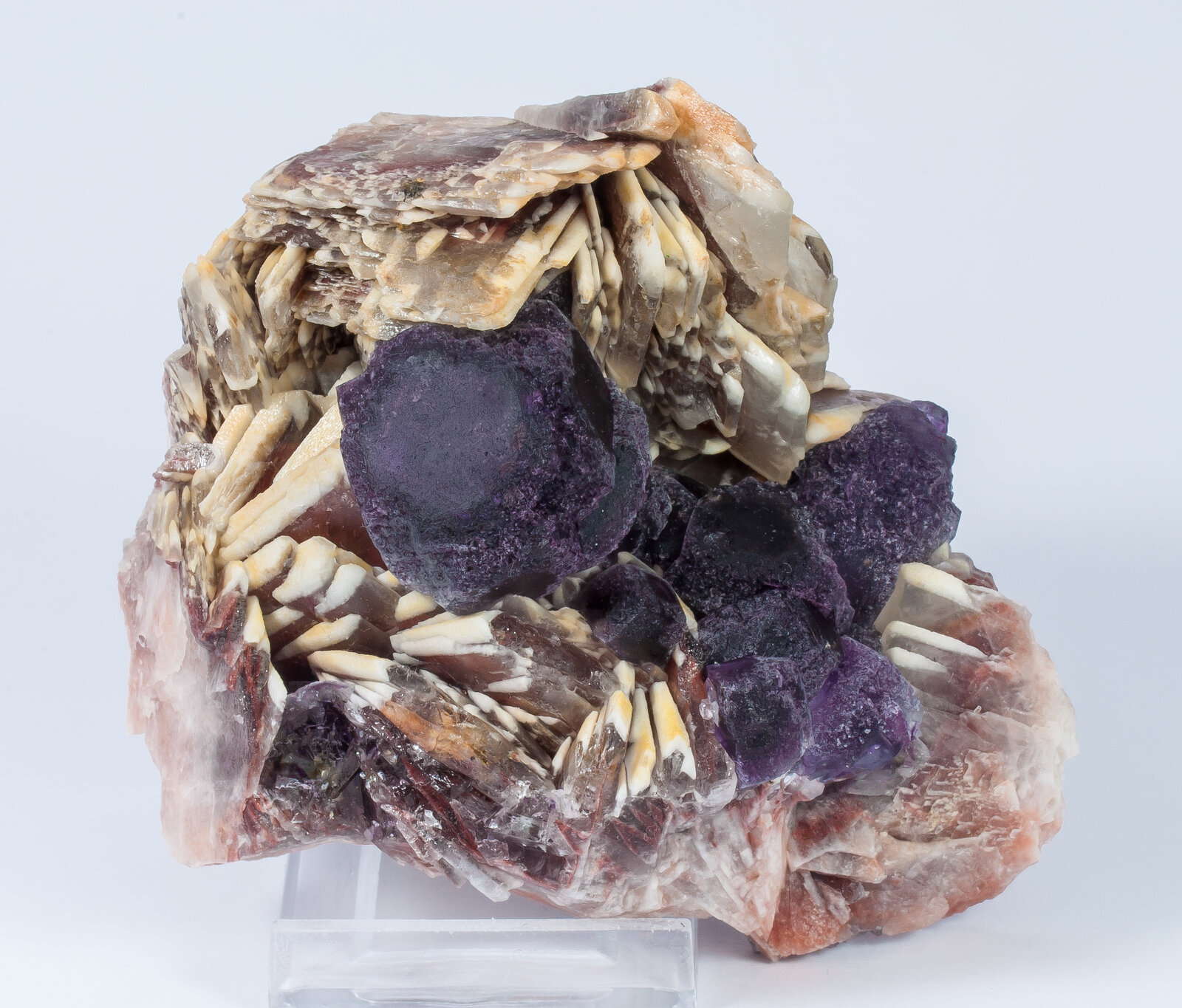 specimens/s_imagesAN2/Fluorite-TM49AN2s.jpg