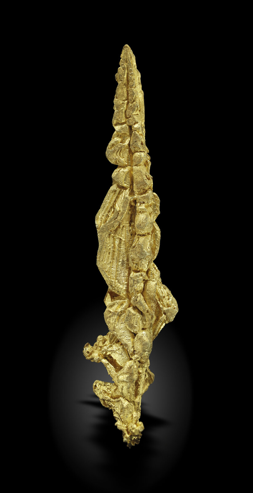 specimens/s_imagesAN2/Gold-TC62AN2_4952_r.jpg