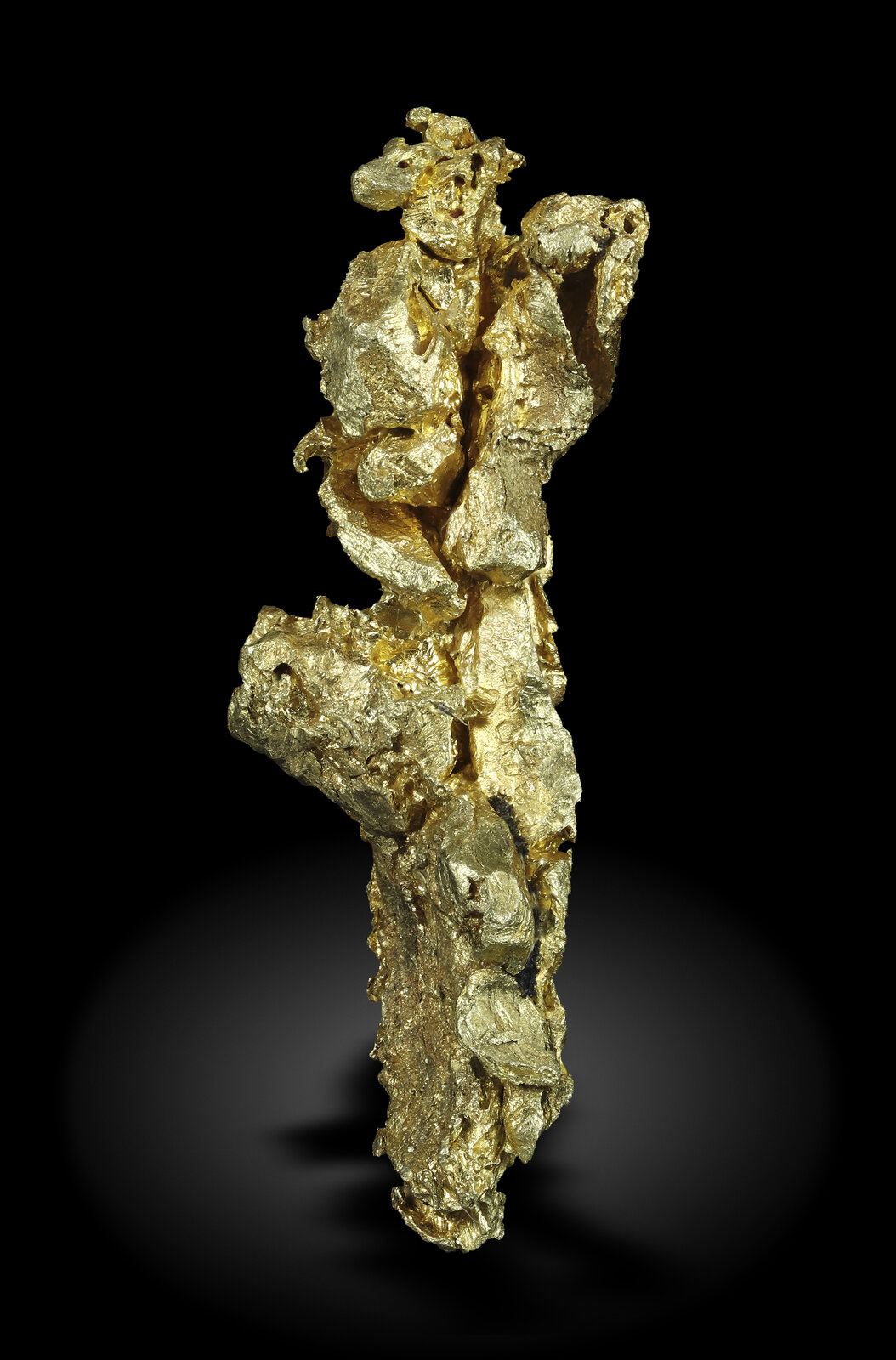 specimens/s_imagesAN2/Gold-TY87AN2_4405_r.jpg