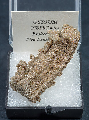 Gypsum. 