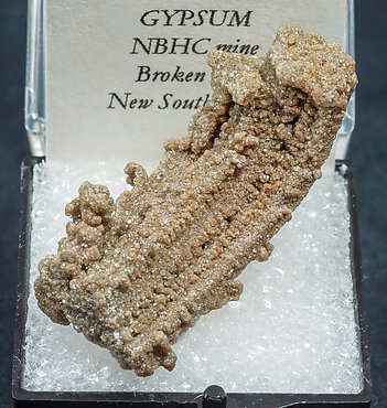 Gypsum. 