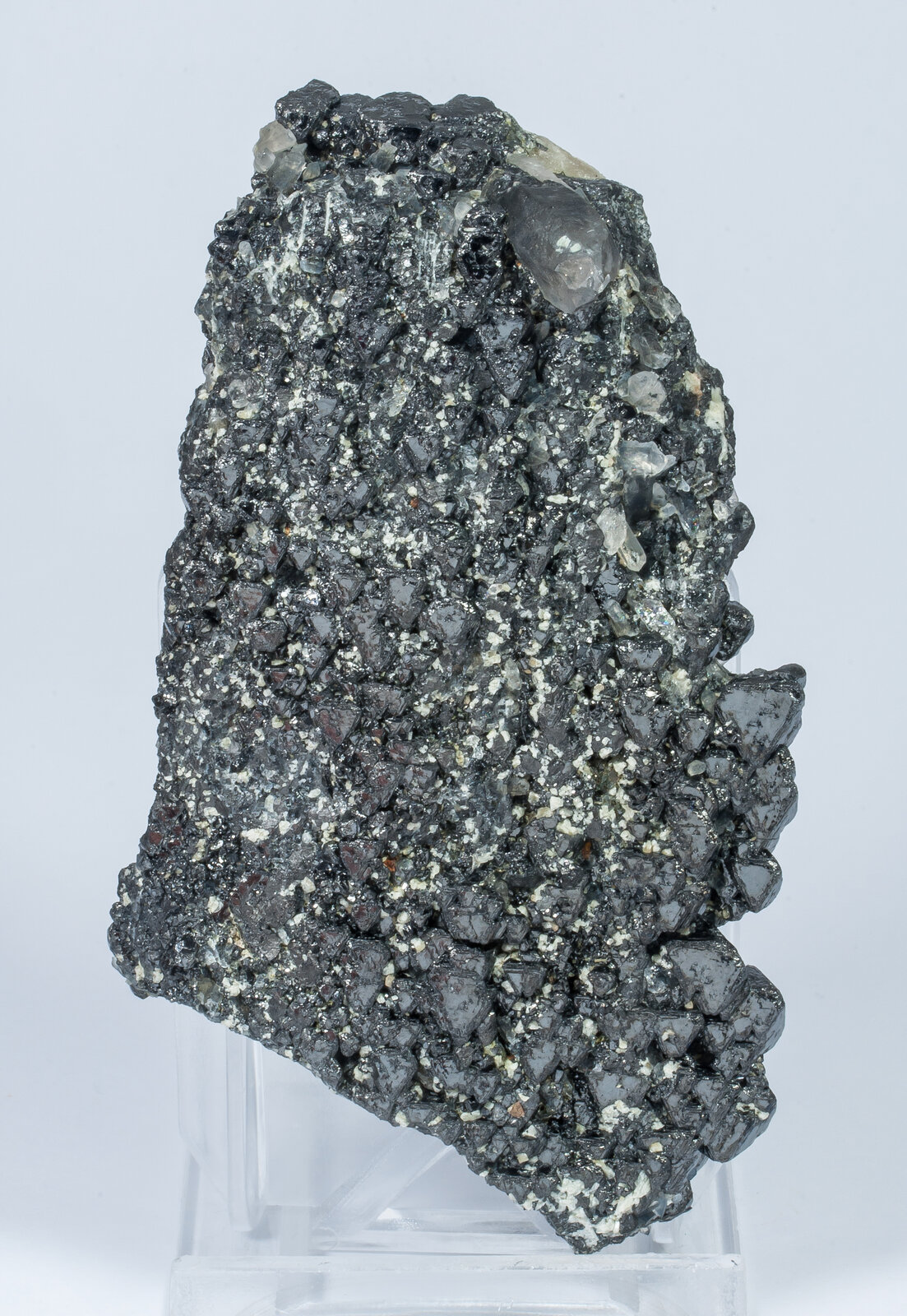 specimens/s_imagesAN2/Magnetite-TC88AN2r.jpg