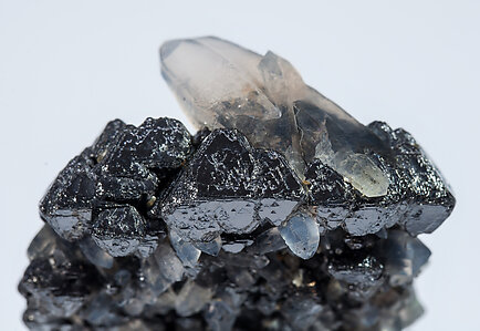 Magnetite (variety Ti-bearing) with Quartz. 