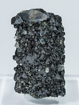 Magnetite (variety Ti-bearing) with Quartz. Rear