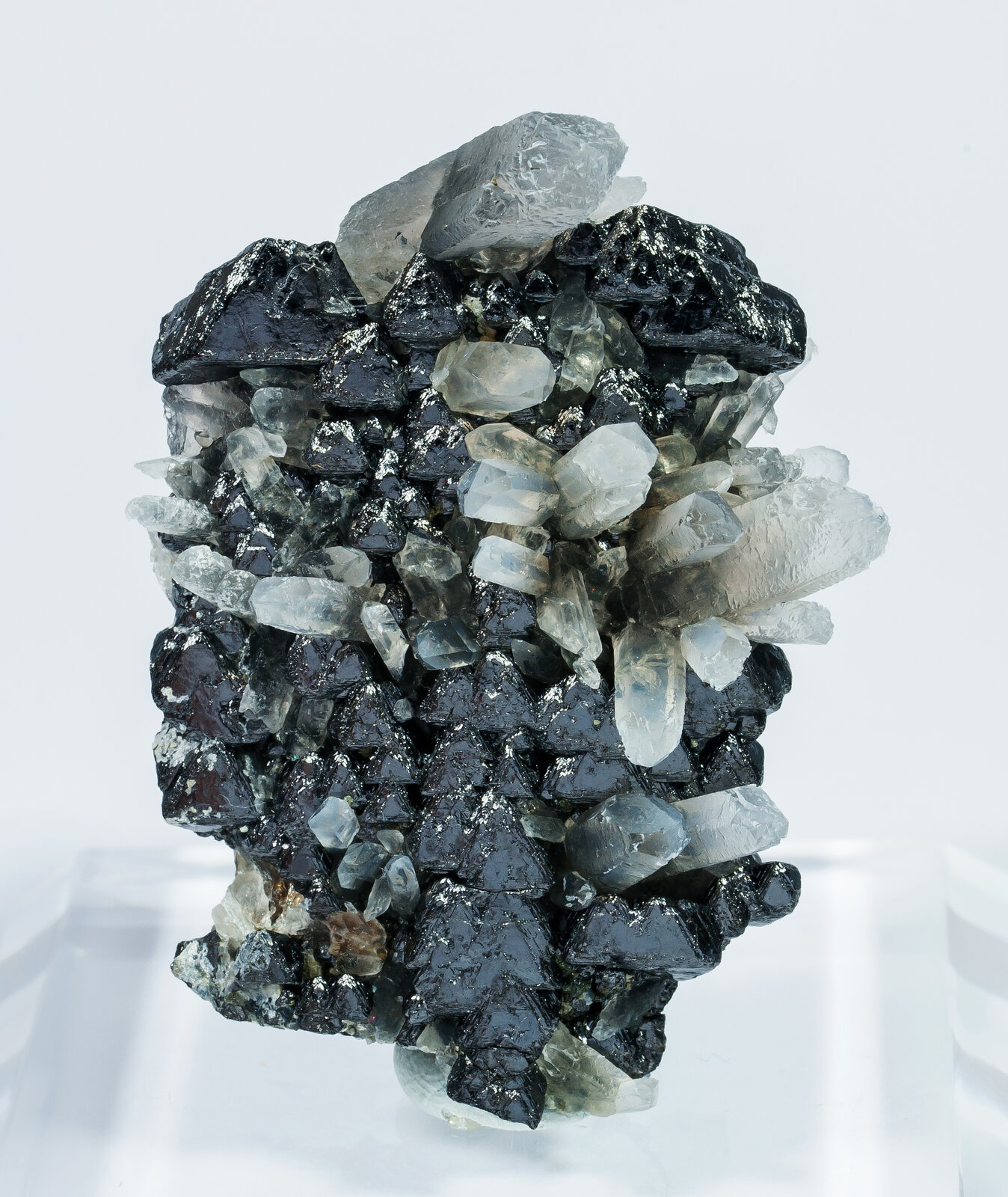 specimens/s_imagesAN2/Magnetite-TG27AN2f.jpg