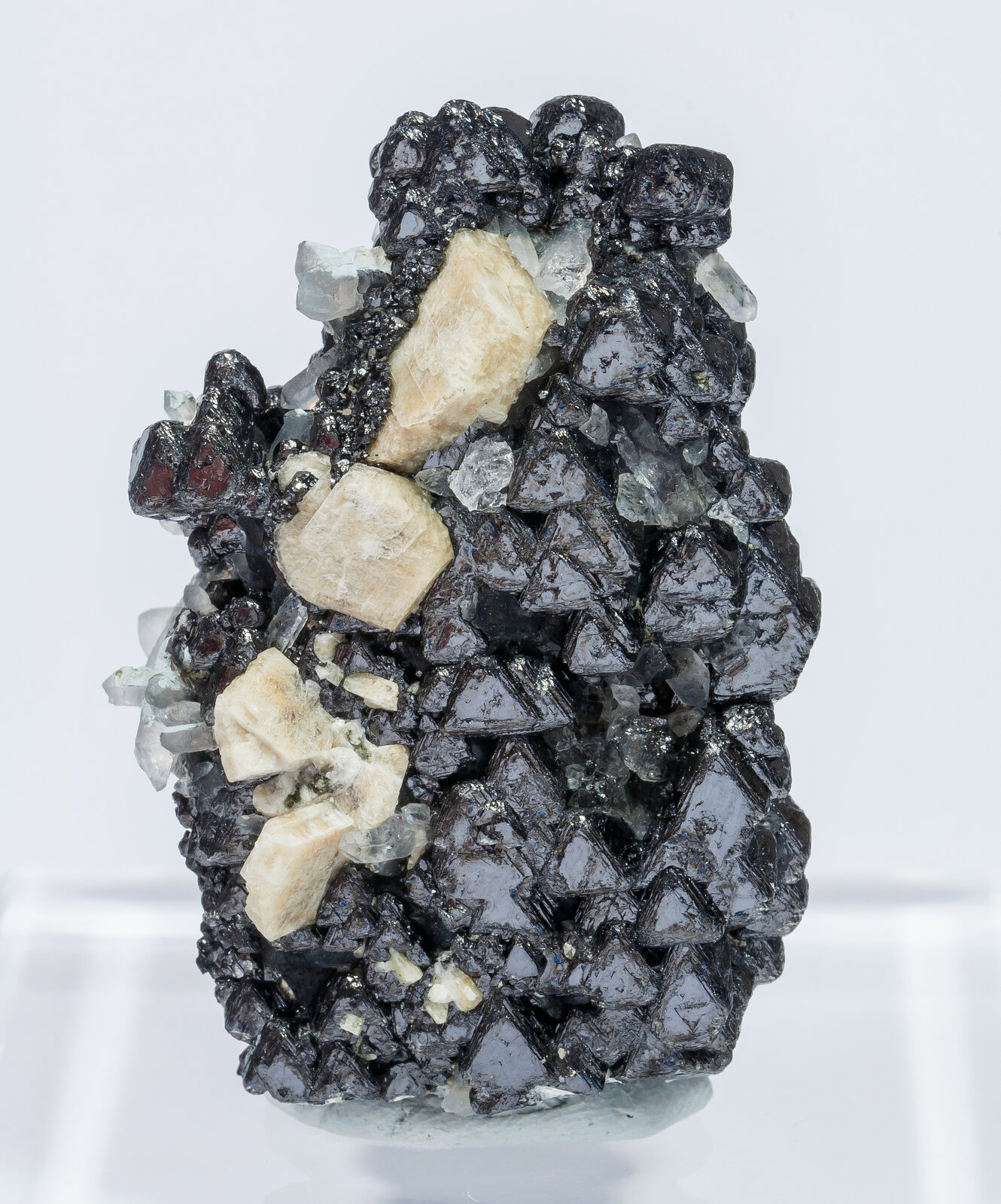 specimens/s_imagesAN2/Magnetite-TJ46AN2f.jpg