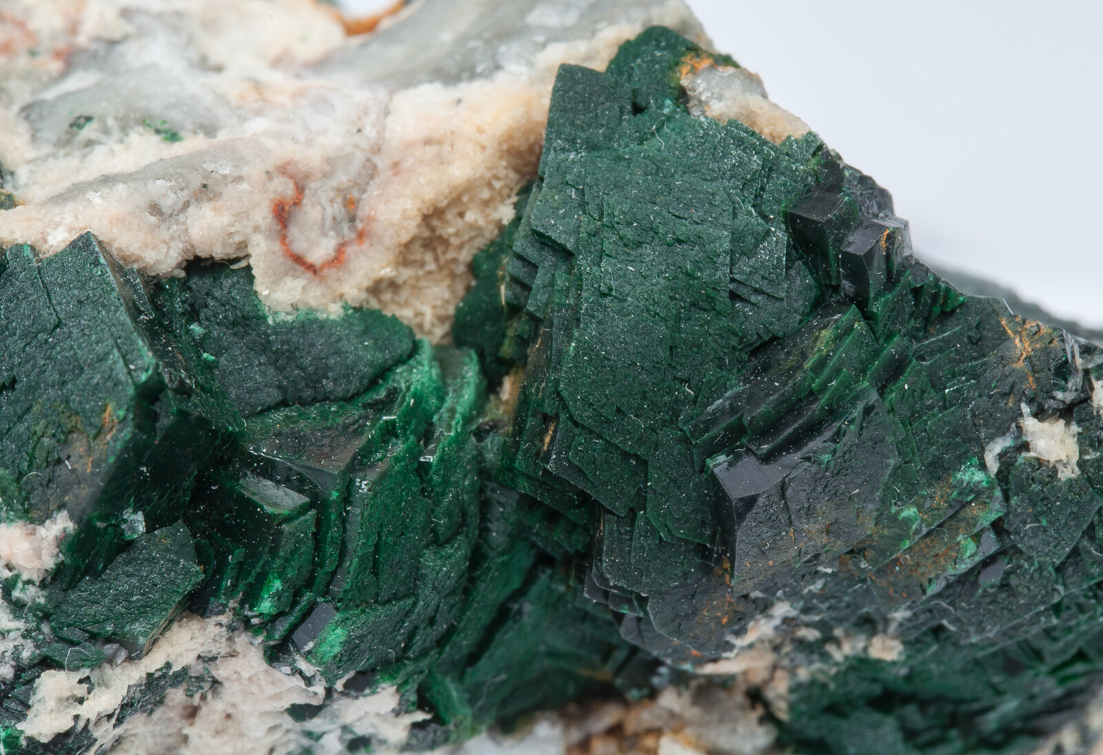 specimens/s_imagesAN2/Malachite-CB96AN2d.jpg