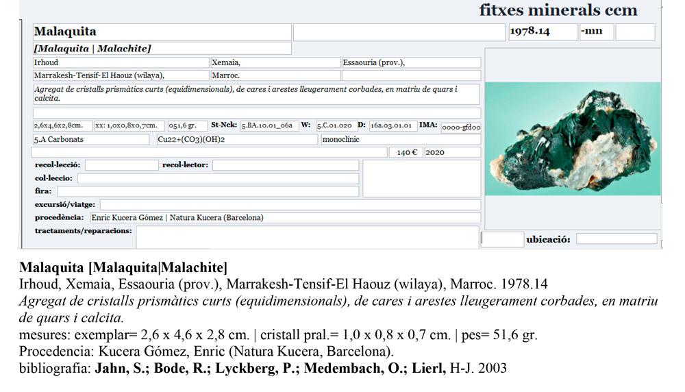 specimens/s_imagesAN2/Malachite-CB96AN2e.jpg