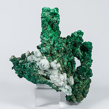 Malachite with Calcite and Cerussite. Rear