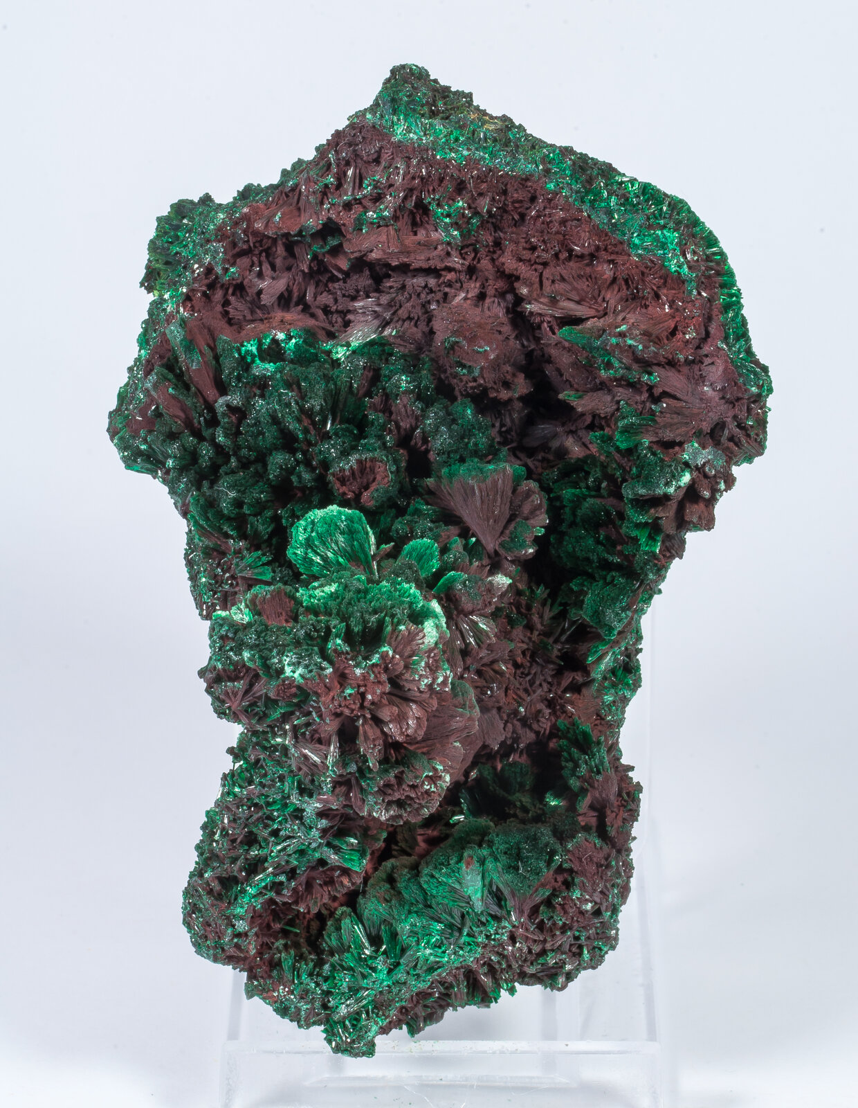 specimens/s_imagesAN2/Malachite-TE27AN2r.jpg