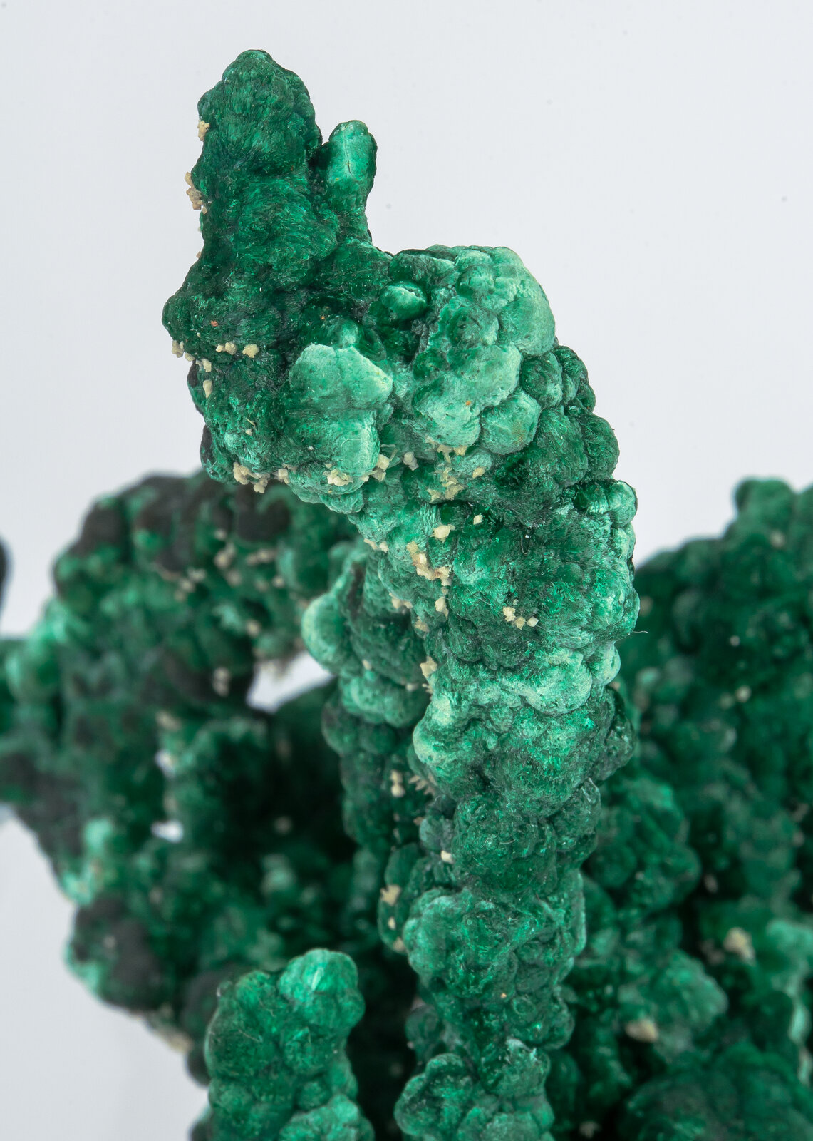 specimens/s_imagesAN2/Malachite-TF36AN2d.jpg