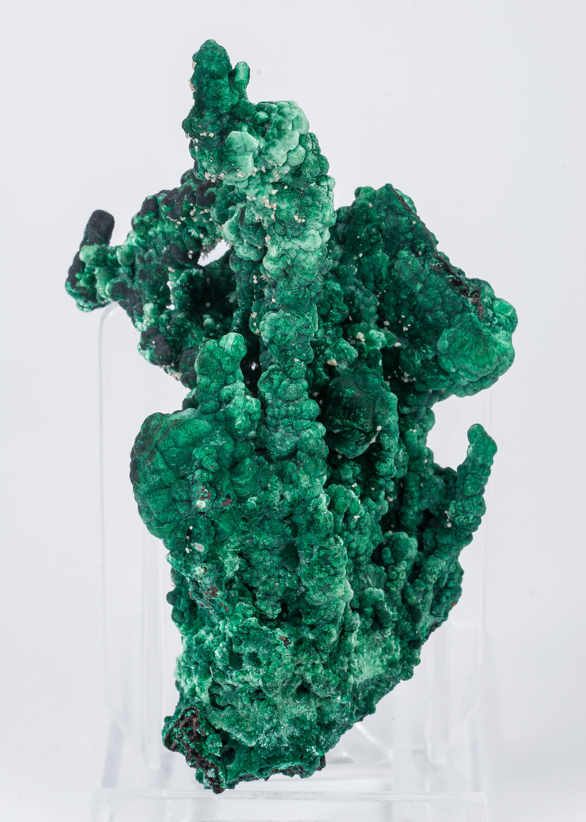 specimens/s_imagesAN2/Malachite-TF36AN2f.jpg