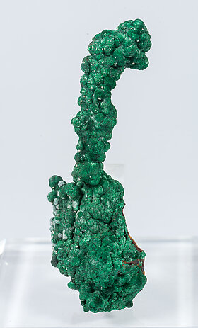 Malachite with Calcite and Cerussite.