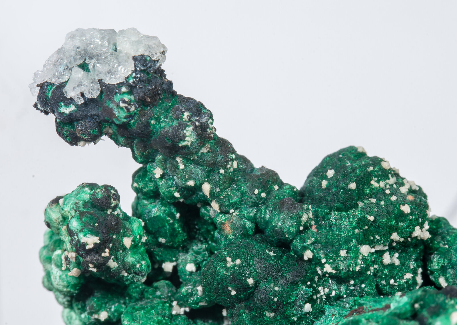 specimens/s_imagesAN2/Malachite-TM87AN2d.jpg