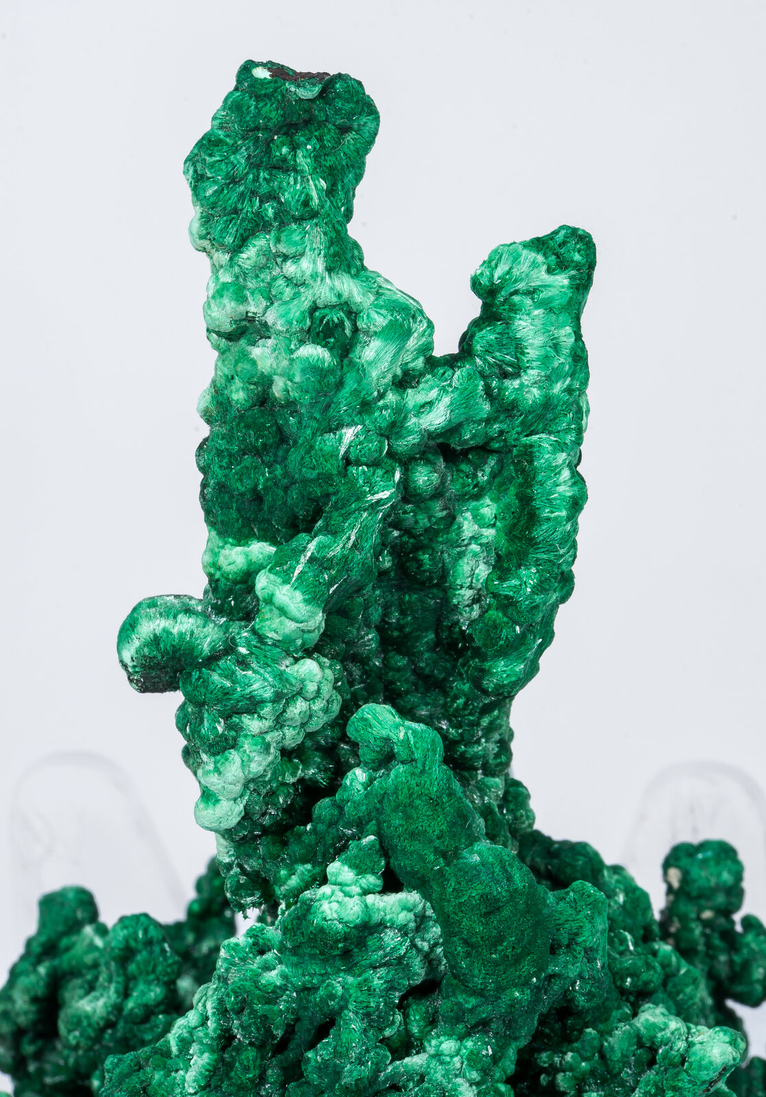 specimens/s_imagesAN2/Malachite-TP48AN2d.jpg