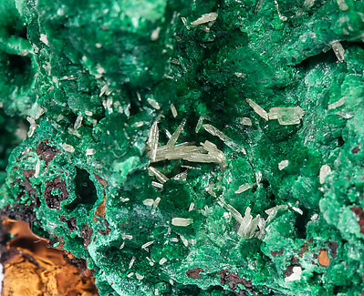 Malachite with Cerussite. 