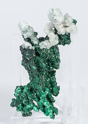 Malachite with Calcite and Cerussite. 