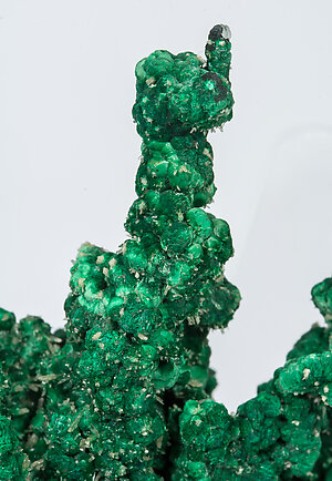 Malachite with Cerussite. 