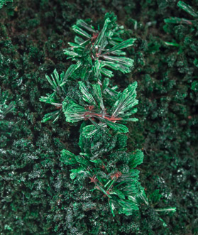 Malachite. 