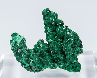 Malachite with Cerussite. 