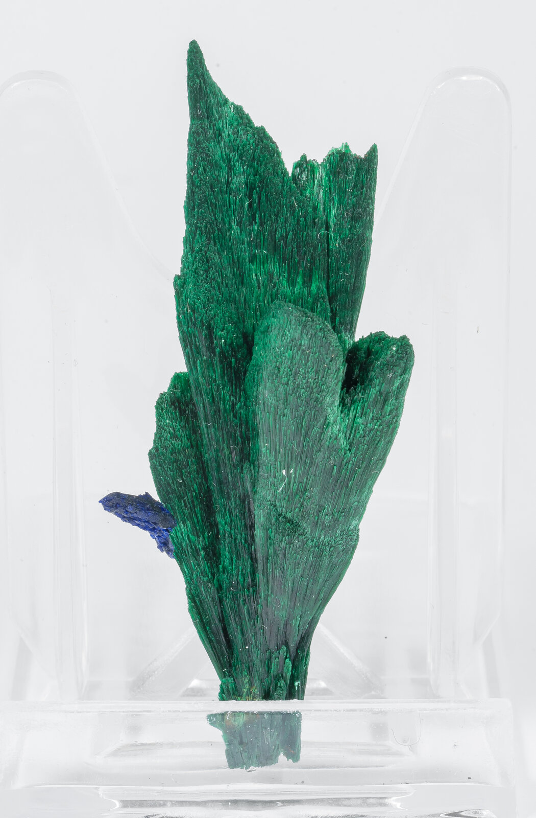 specimens/s_imagesAN2/Malachite-TZ49AN2f.jpg