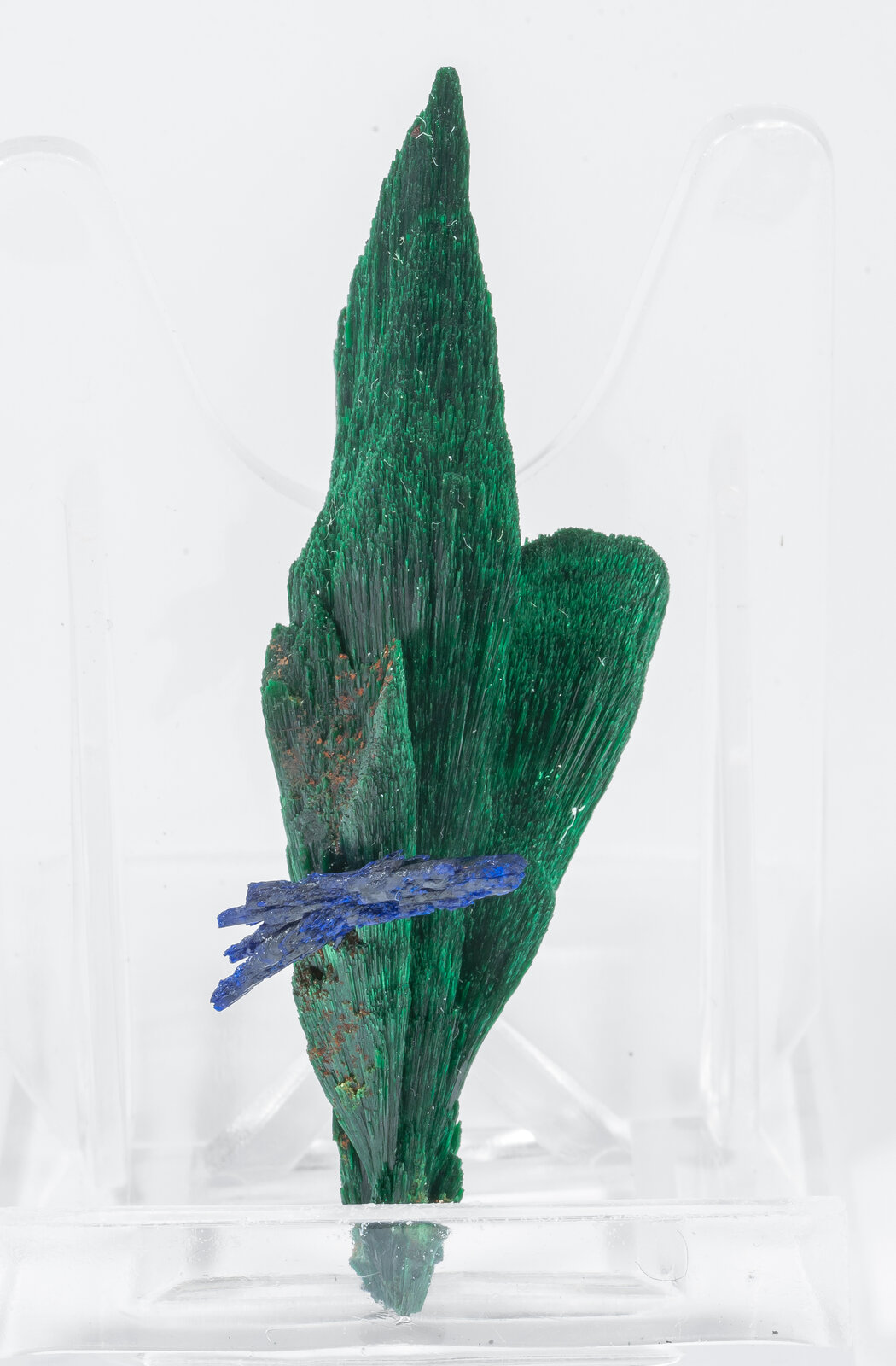 specimens/s_imagesAN2/Malachite-TZ49AN2s.jpg