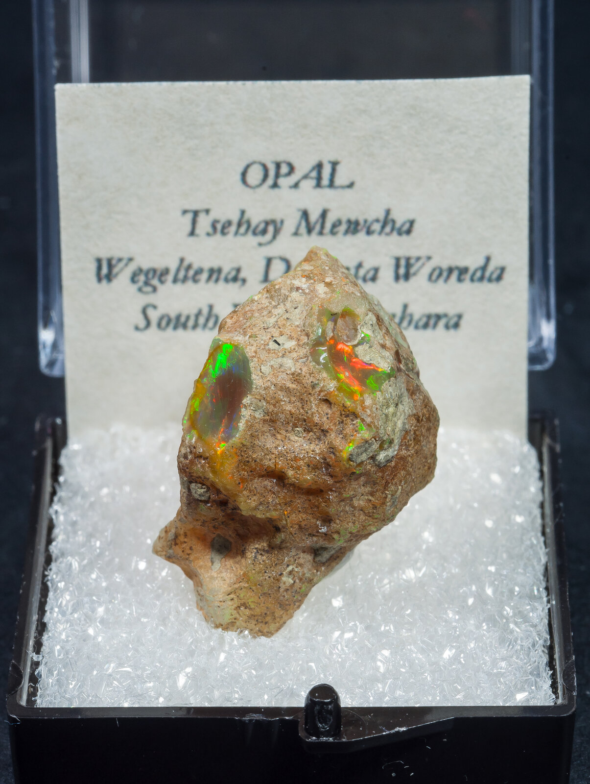 specimens/s_imagesAN2/Opal-TP11AN2f1.jpg