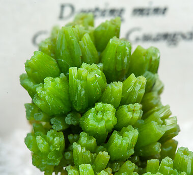 Pyromorphite. 