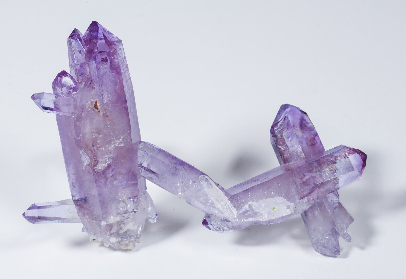 specimens/s_imagesAN2/Quartz_amethyst-TF48AN2r.jpg