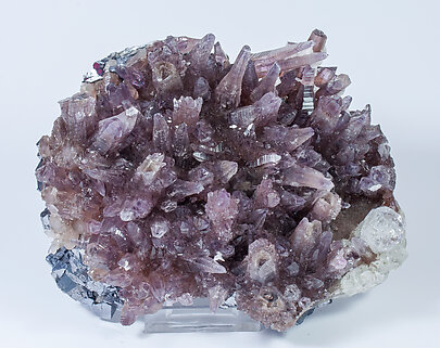 Quartz (variety amethyst) with Fluorite.