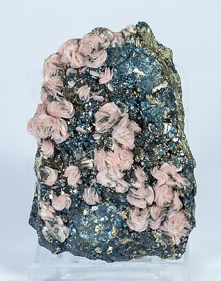 Rhodochrosite with Sphalerite and Pyrite. 