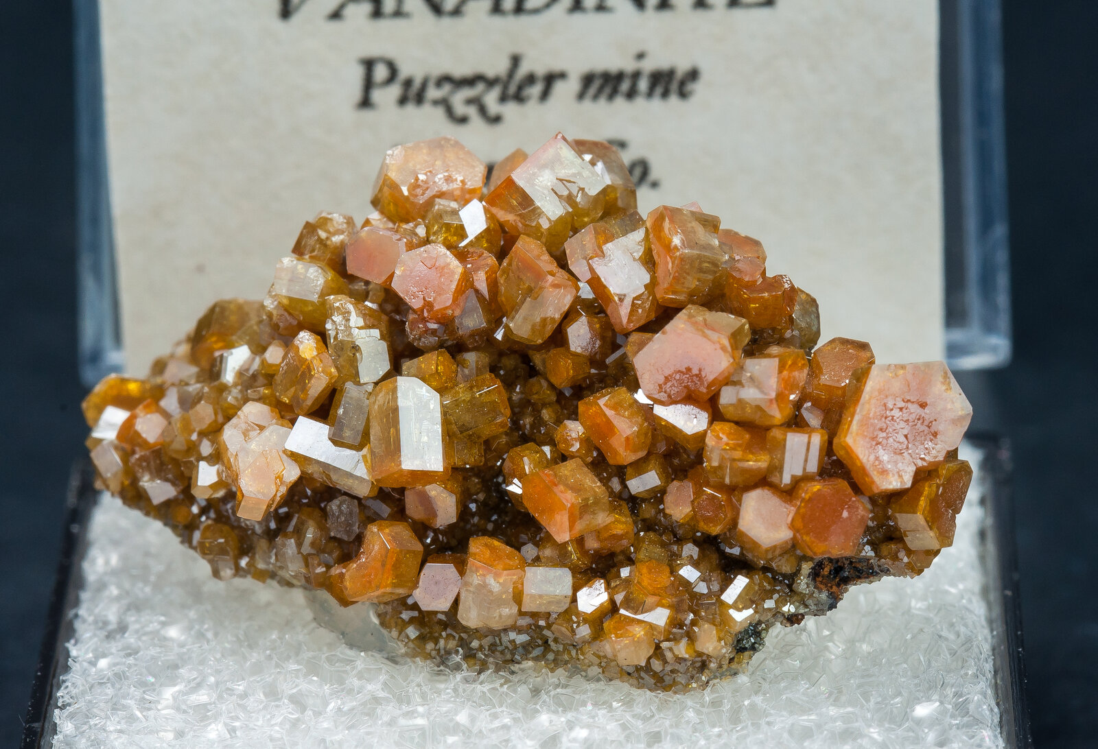 specimens/s_imagesAN2/Vanadinite-TA16AN2f2.jpg