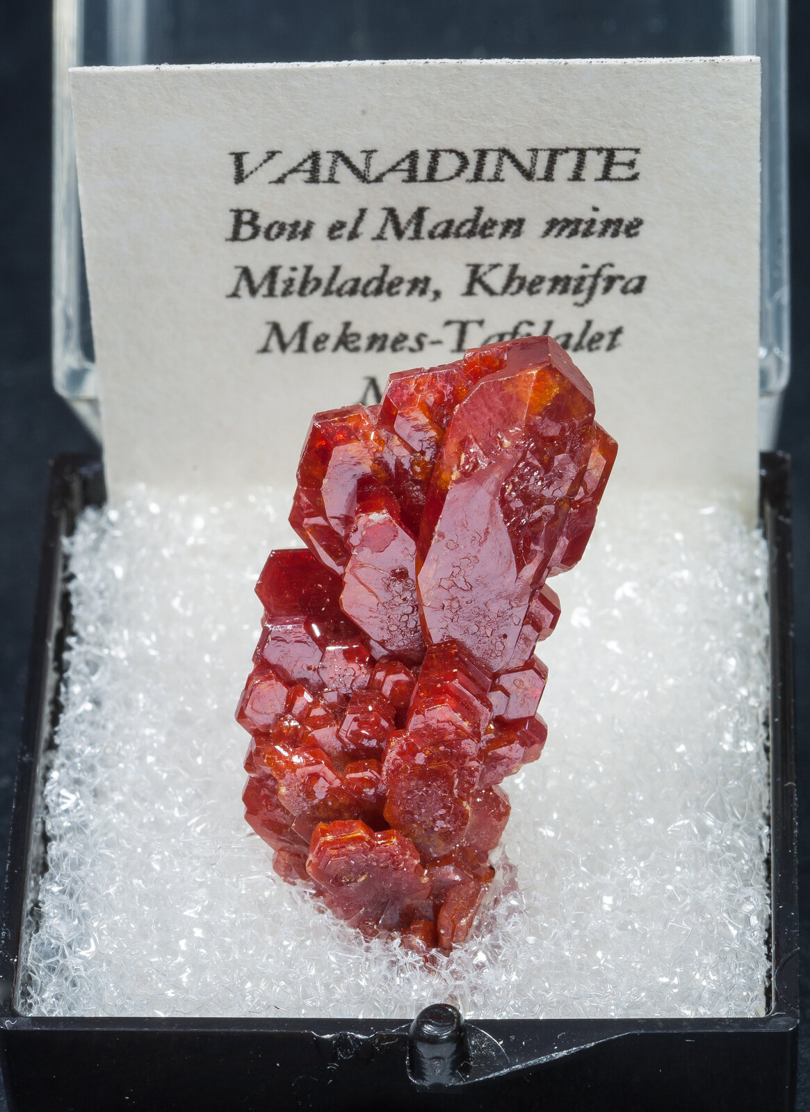 specimens/s_imagesAN2/Vanadinite-TM14AN2f1.jpg