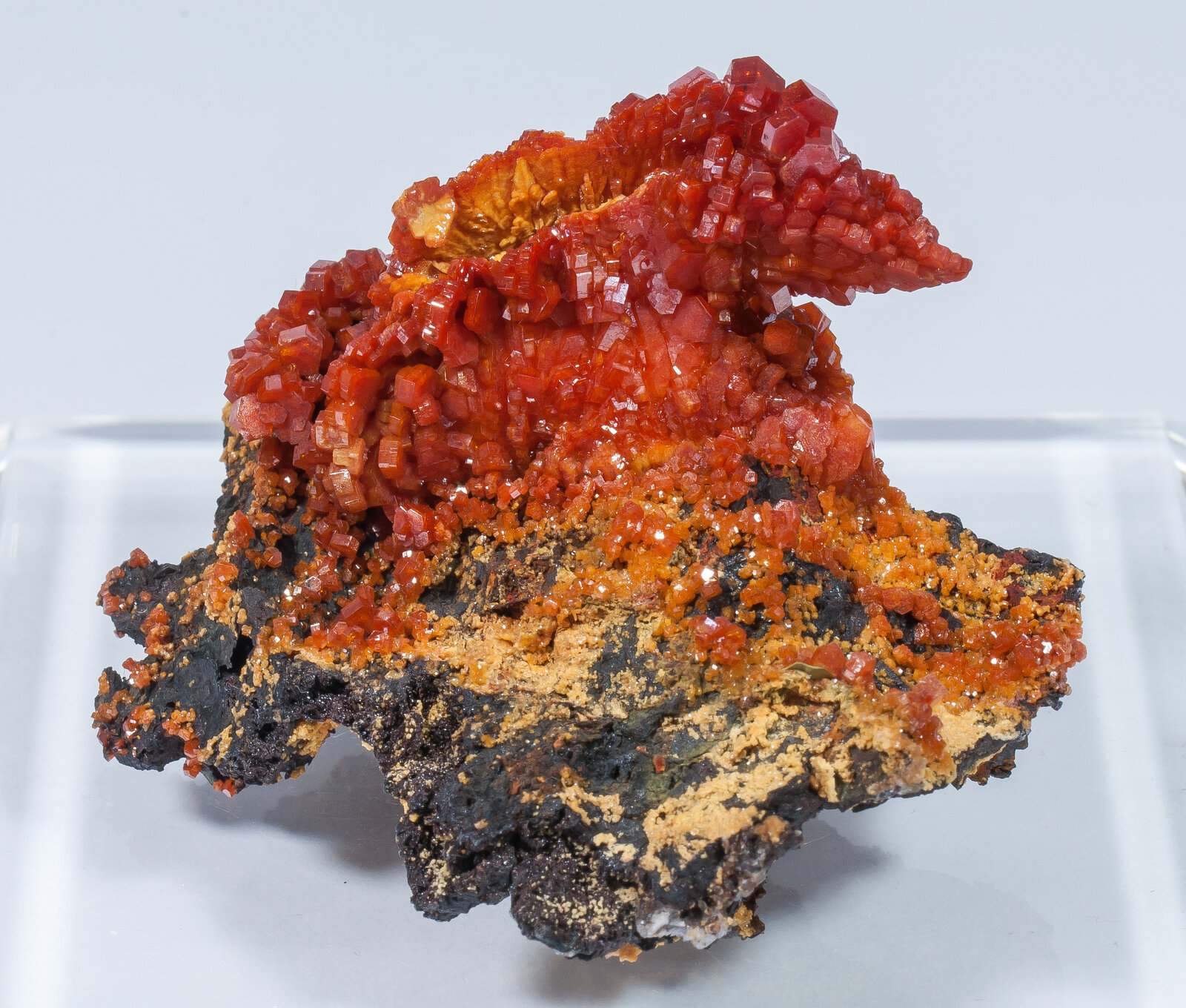 specimens/s_imagesAN2/Vanadinite-TT50AN2f.jpg