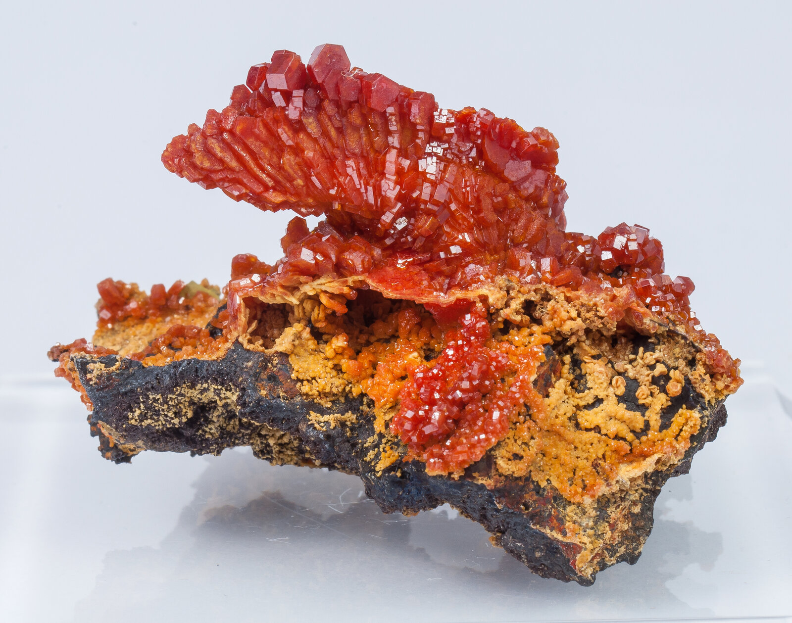 specimens/s_imagesAN2/Vanadinite-TT50AN2r.jpg