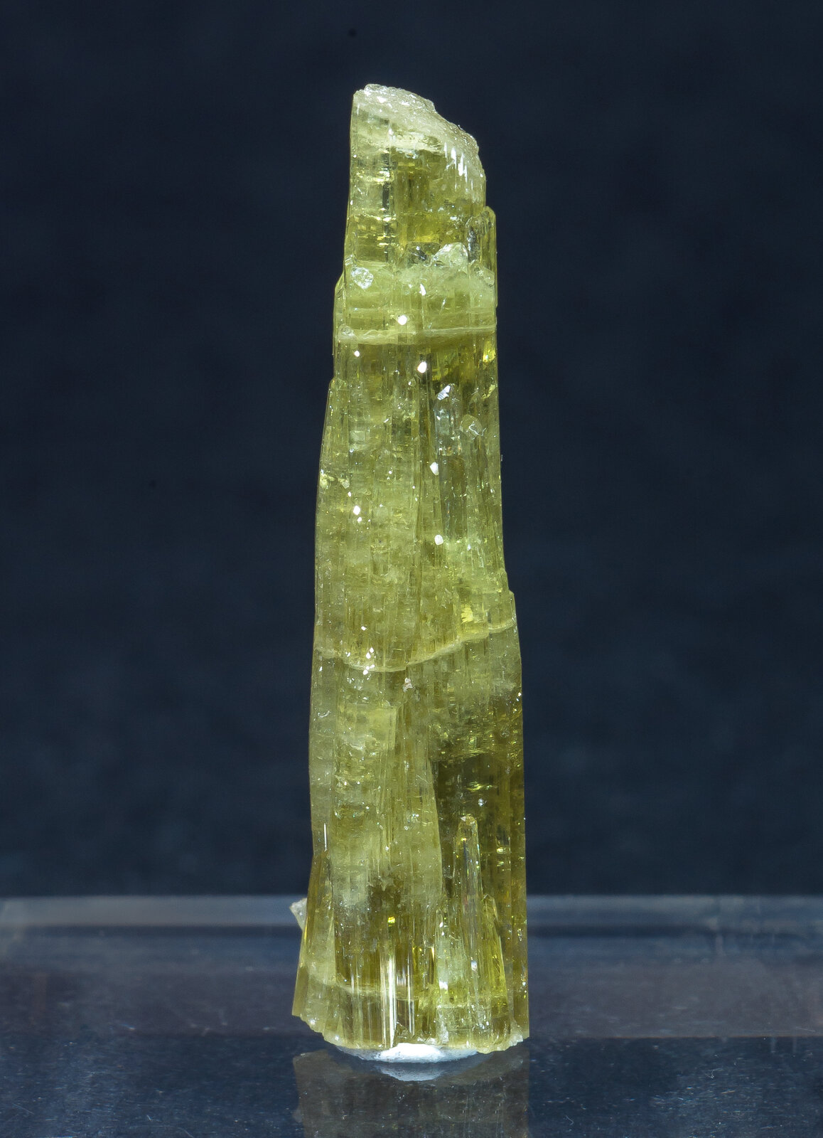 specimens/s_imagesAN2/Vesuvianite-TA14AN2f.jpg