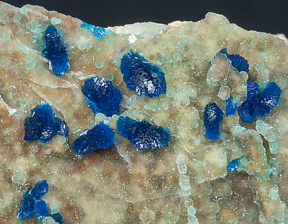 Veszelyite with Cuprodongchuanite and Hemimorphite. 