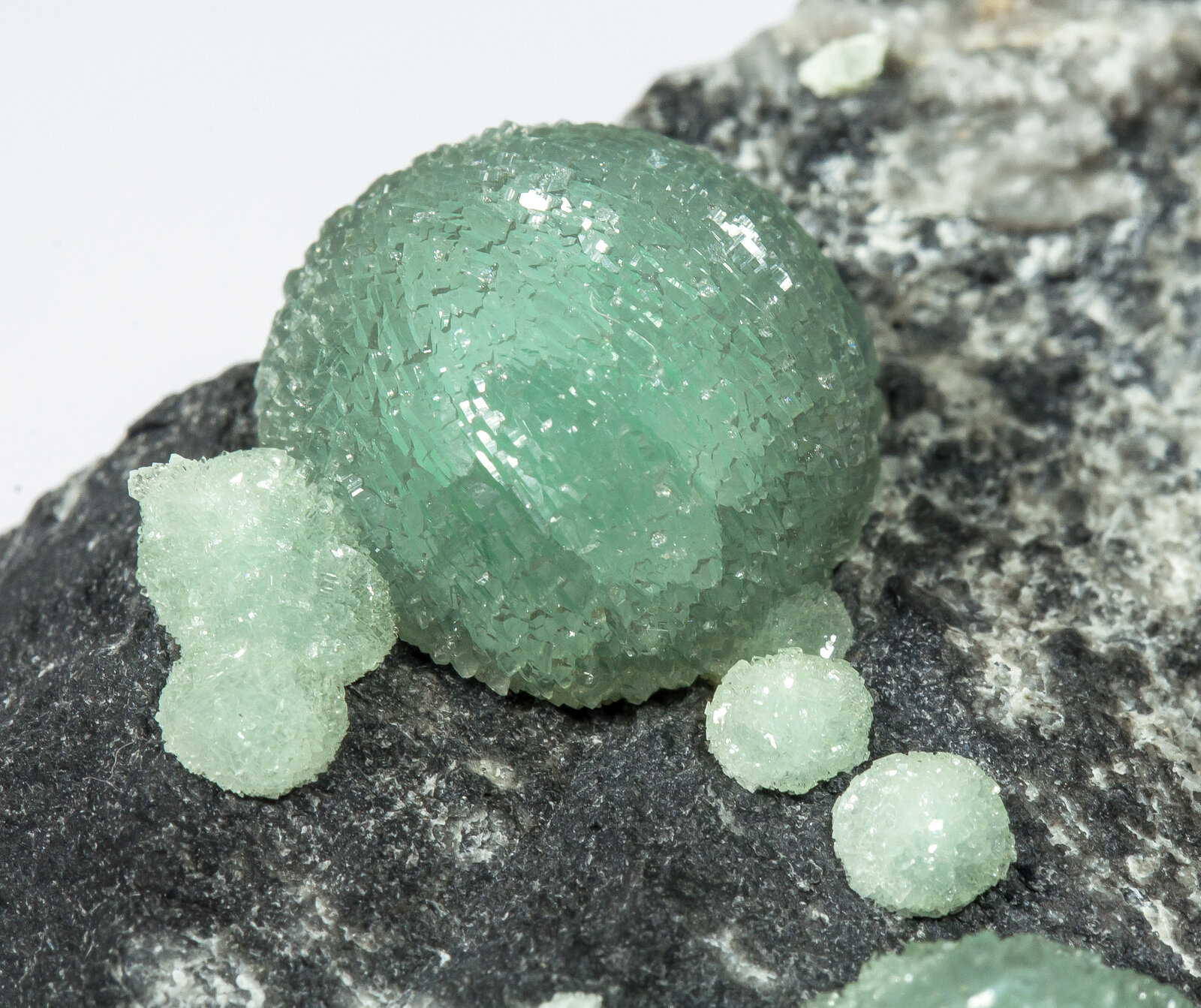 specimens/s_imagesAN2/Wavellite-TG47AN2d.jpg