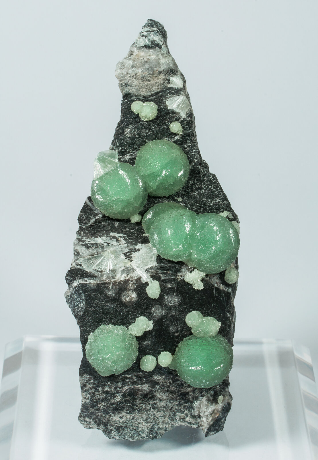 specimens/s_imagesAN2/Wavellite-TG47AN2f.jpg