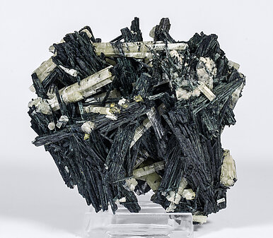 Chlorapatite on Ferro-actinolite. Front