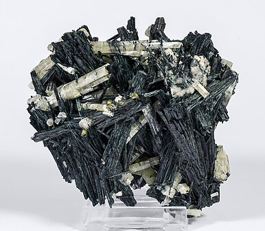 Chlorapatite on Ferro-actinolite.