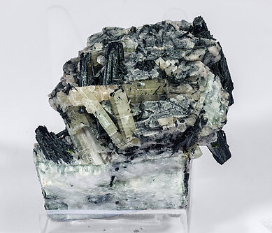 Chlorapatite on Ferro-actinolite with Microcline. Rear