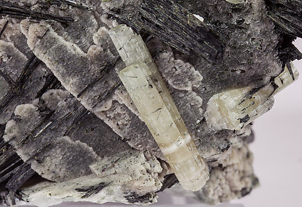 Chlorapatite on Ferro-actinolite with Microcline and Titanite. 