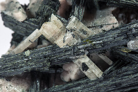 Chlorapatite on Ferro-actinolite with Microcline. 