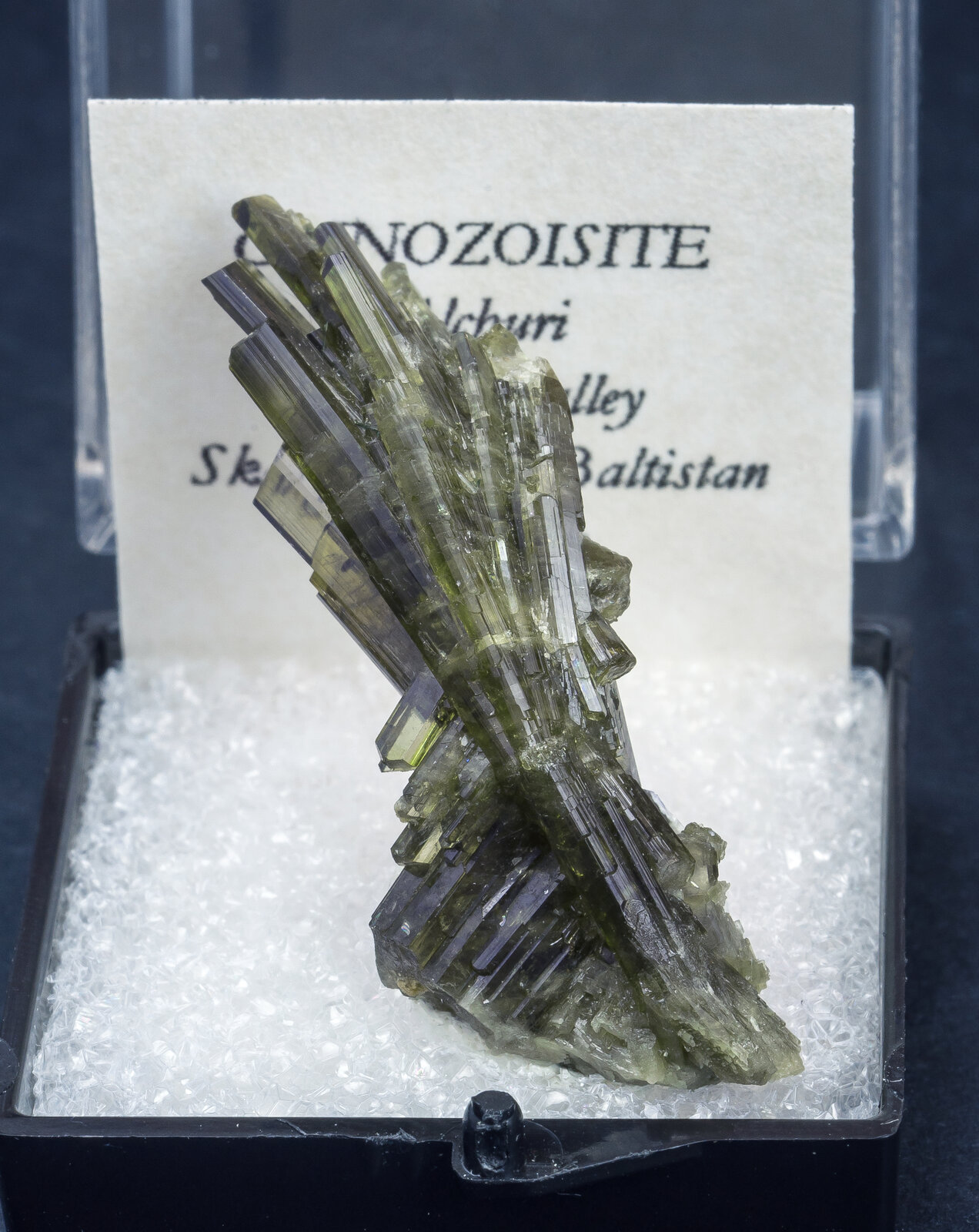 specimens/s_imagesAN3/Clinozoisite-TXY63AN3f1.jpg